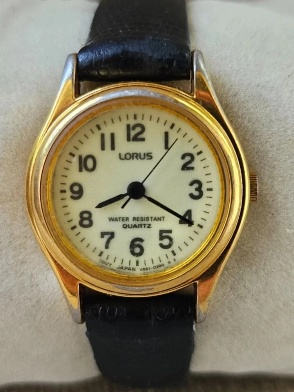 Lorus size color heavy